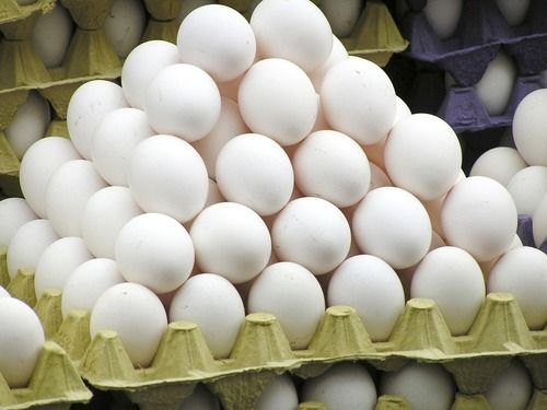 Fresh White Chicken Eggs